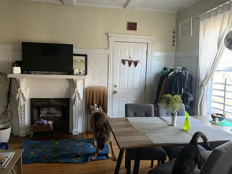 5 Bellvista Rd #2 — Photo 5