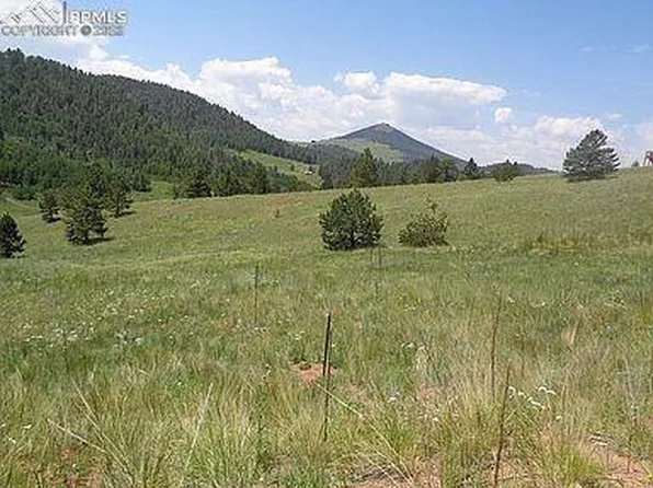 1386 Copper Mountain Dr, Cripple Creek, CO 80813