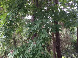 0 Pinewood Ave LOT 19, Elberta, AL 36530