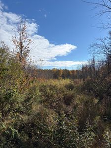 Off Peterson Rd, Antigo, WI, 54409