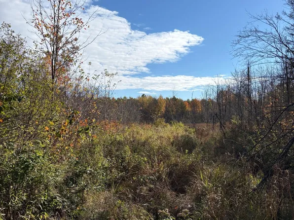 Off Peterson Rd, Antigo, WI 54409