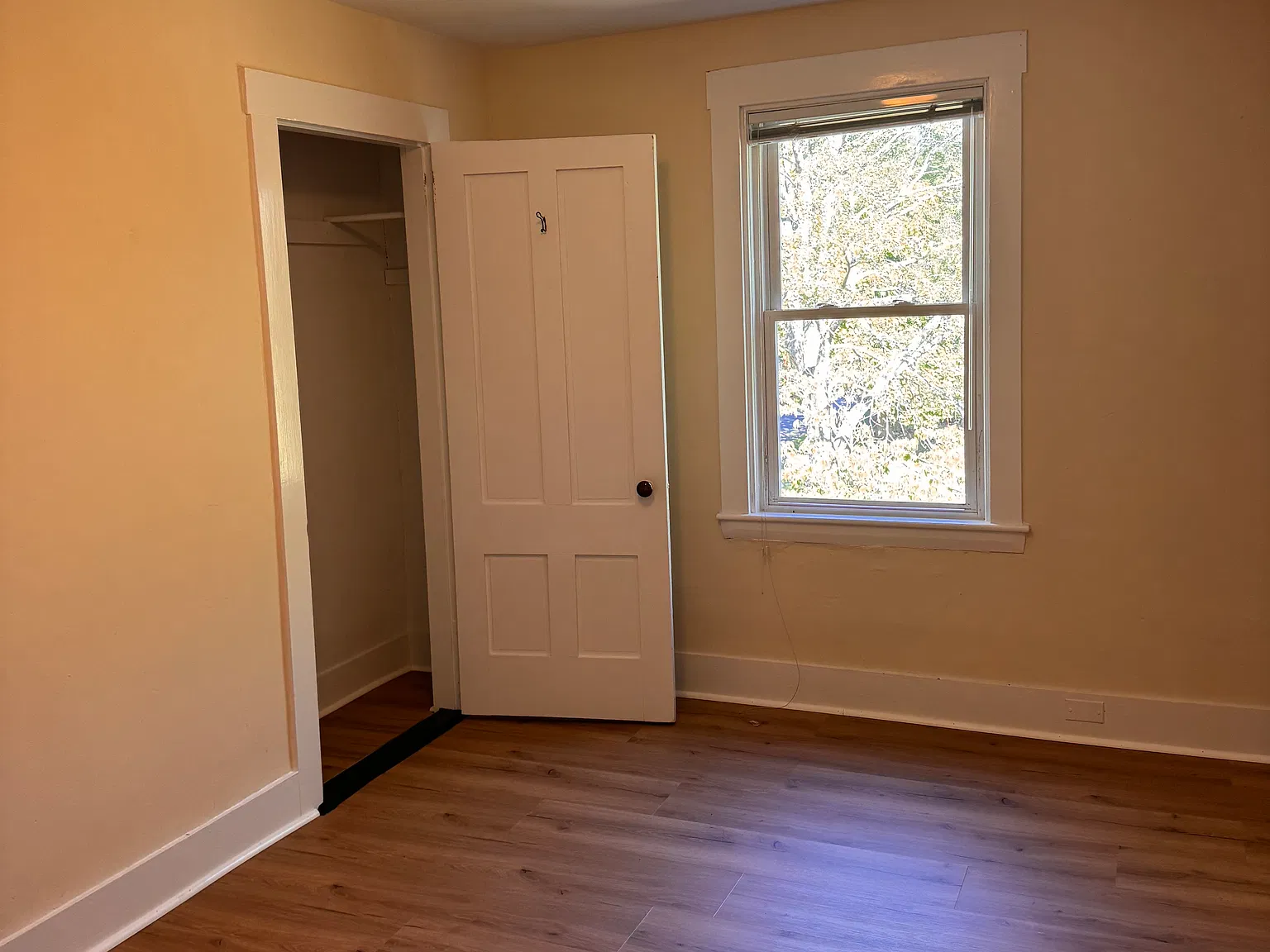 2 bed, 1000 sqft, $2,550 — Photo 4