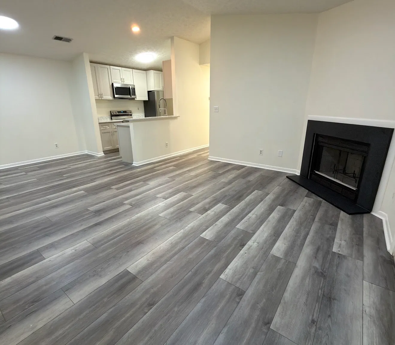 2 bed, 1025 sqft, $1,750 — Photo 4