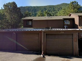 2919 Riverside Dr, Idaho Springs, CO 80452