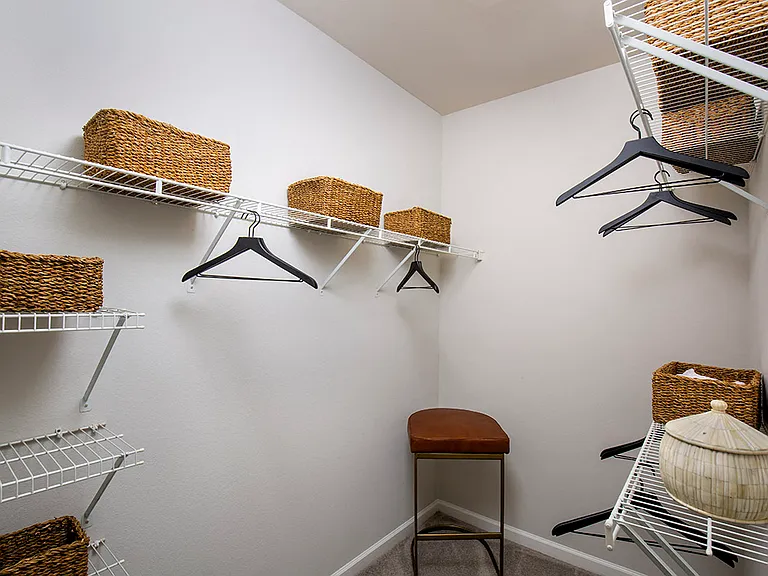 Spacious Walk-in Closet
