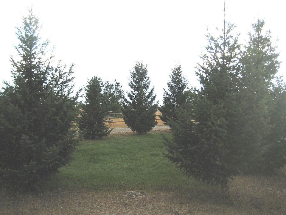 2nd image of 3175 Tizer Dr