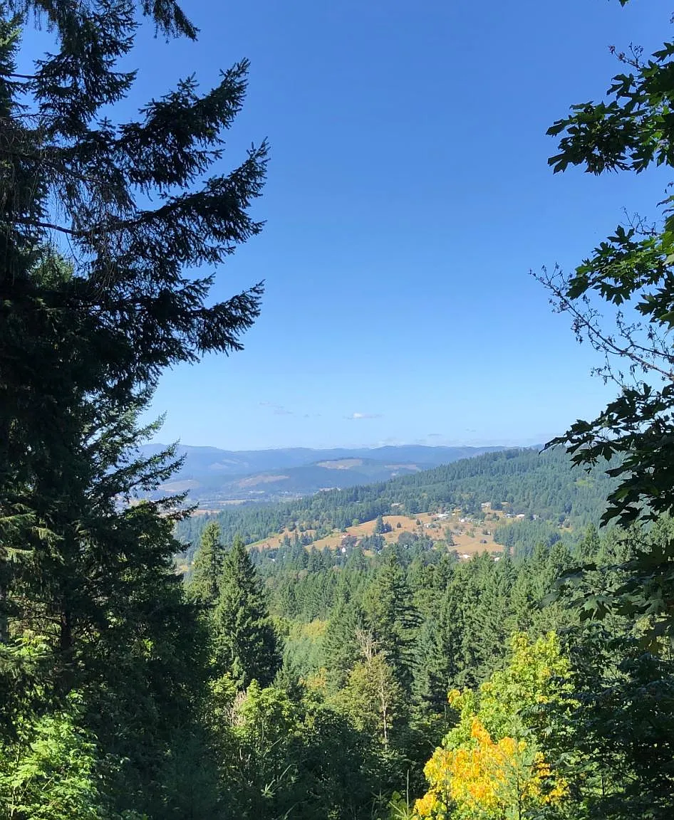 SW Laurelwood Rd, Hillsboro — Photo 4