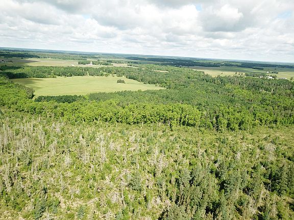 5th image of Tbd1 Mud Lake Rd