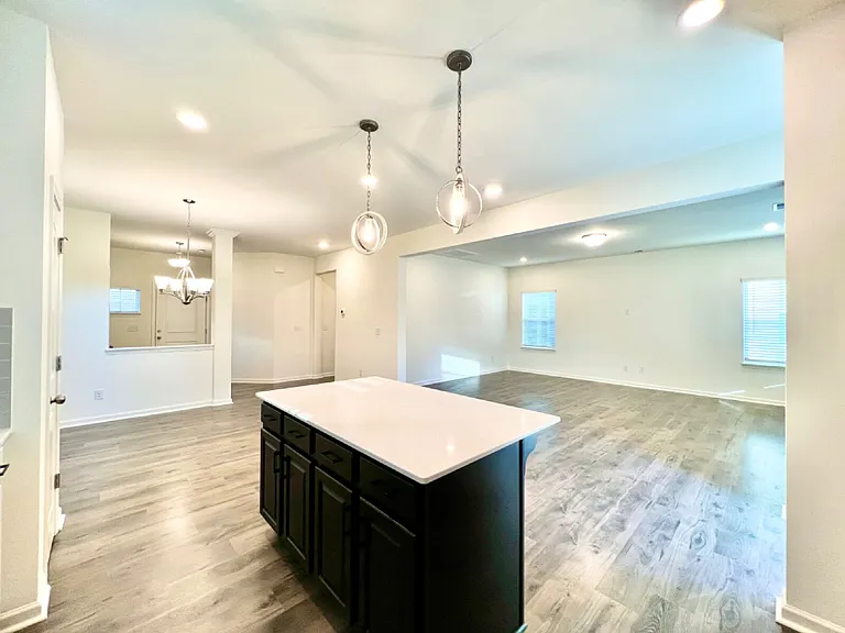 1156 Scotch Meadows Loop — Photo 9