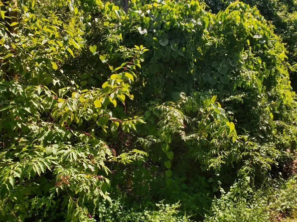 17353 River Rd S #55&56, Summerdale, AL 36580