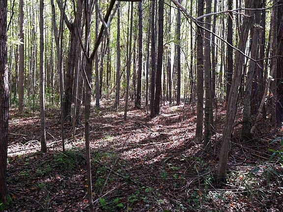 5th image of 906 Shaw Mill Rd