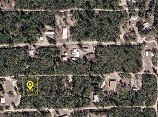 X Ne Lane Lot 9 #234, Fort Mc Coy, FL 32134