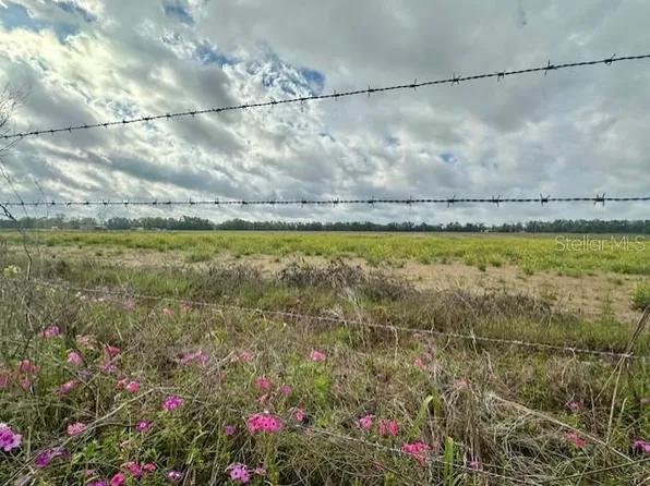 SW 80th St, Trenton, FL 32693