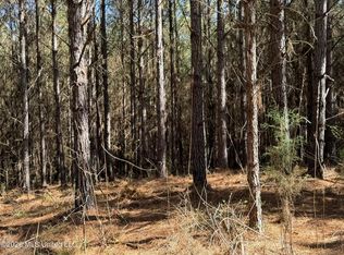 County Road 4103, Sallis, MS 39160