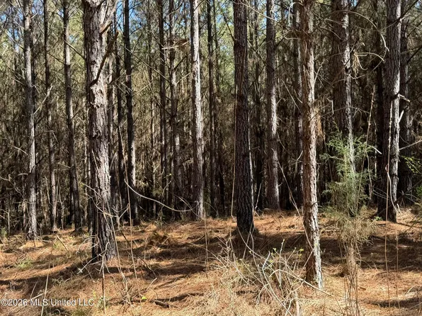 County Road 4103, Sallis, MS 39160