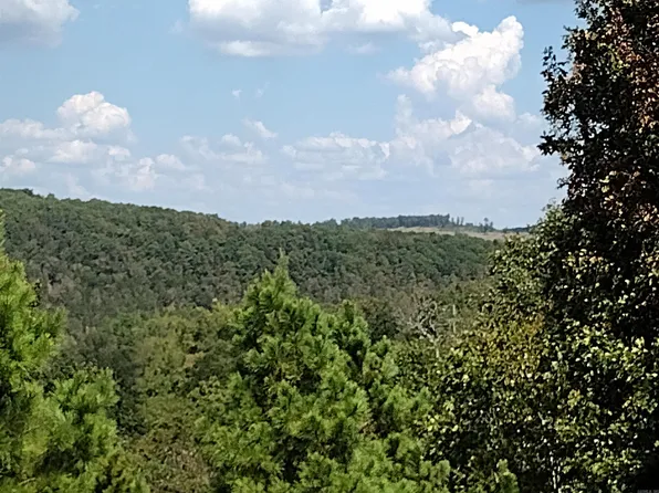 0 State Highway 9 S, Mountain View, AR 72560