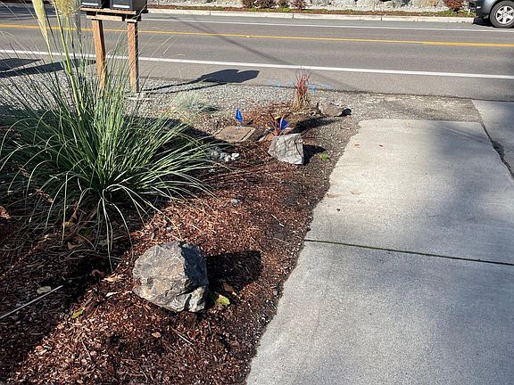 Front entrance and driveway looking across Admiralty Way