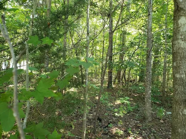 7092 Porter Dr, Oxford, NC 27565