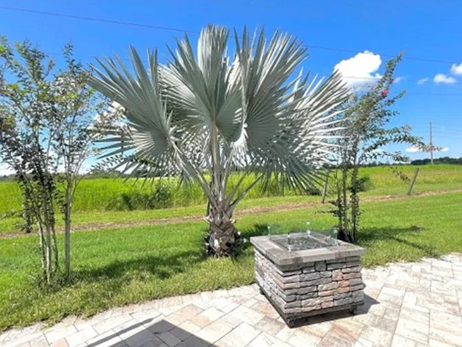 4637 W Palm Dr — Photo 11