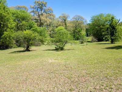 Wildrose St, Lone Star, TX, 75668
