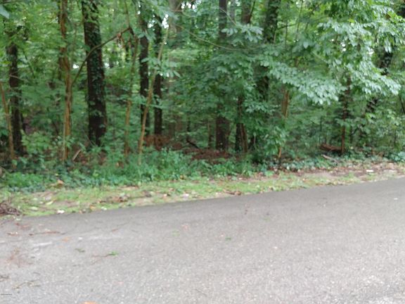 4th image of 320 Horseshoe Ct