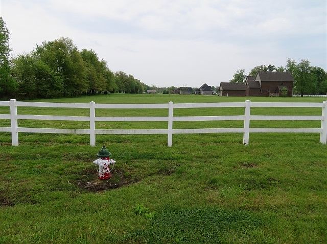 2nd image of Lot #1
