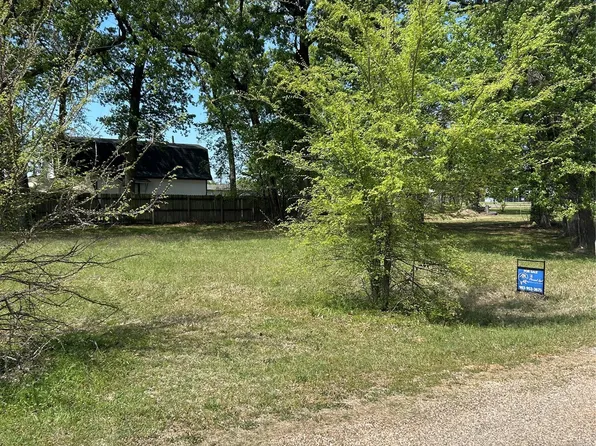 163 Navajo, Quitman, TX 75783