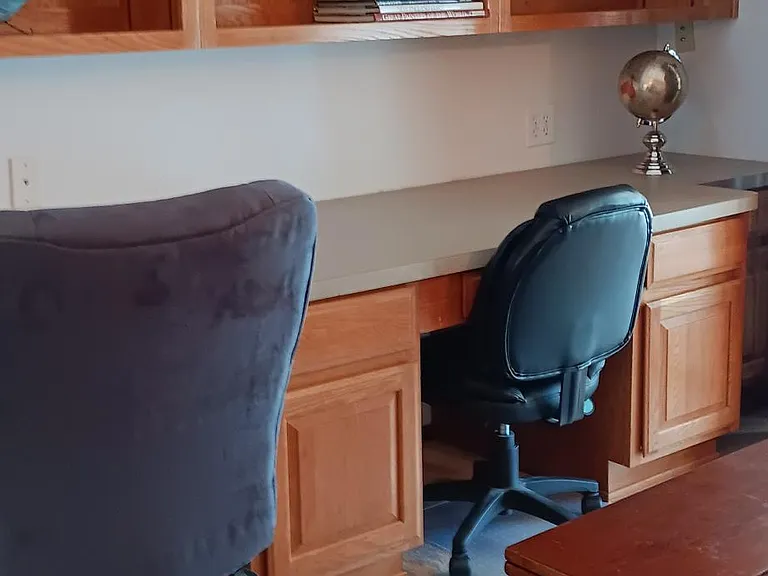 Den with built ins