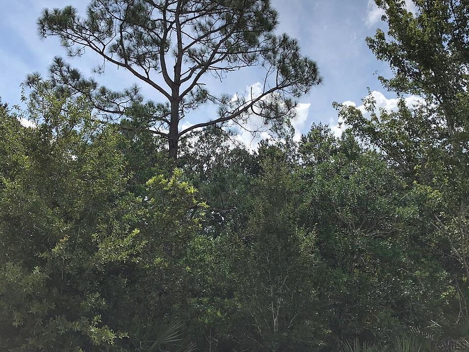 1st image of 7 White Hurst Ln