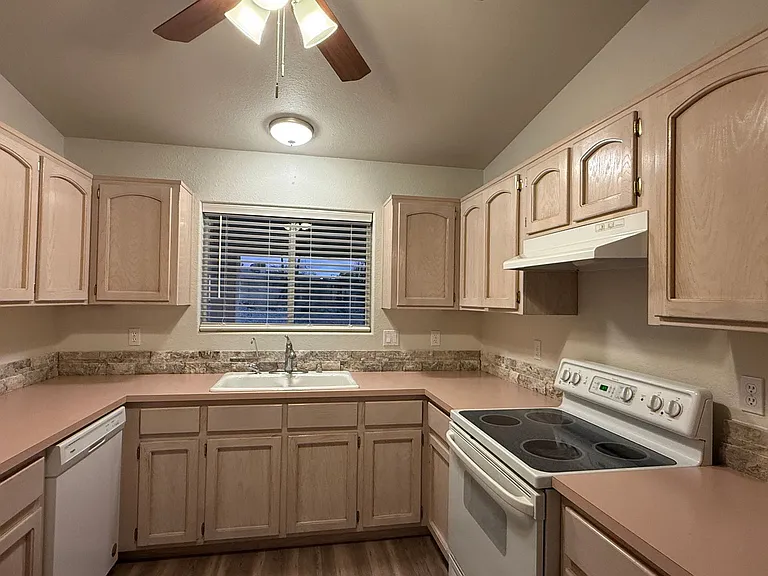 3346 Fountain Palm Dr — Photo 8