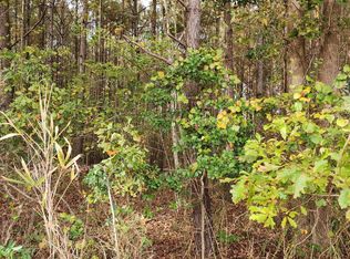 2357 Piney Woods Rd, Willard, NC 28478