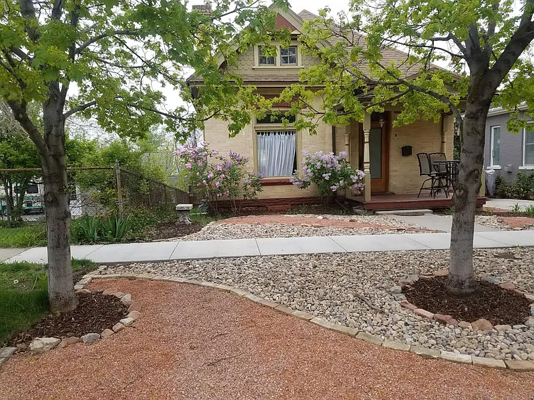 Back yard