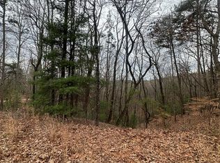 0 Sheila Dr, Ellijay, GA 30540