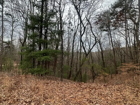 0 Sheila Dr, Ellijay, GA 30540