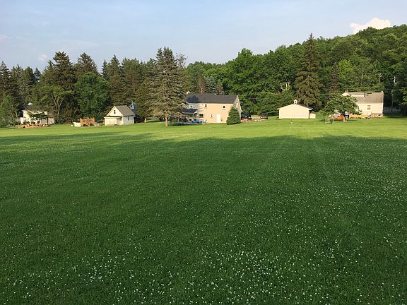 From the edge of the yard