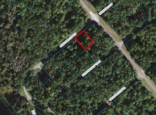 0 Sequoia Loop Dr #7, Ocklawaha, FL 32179