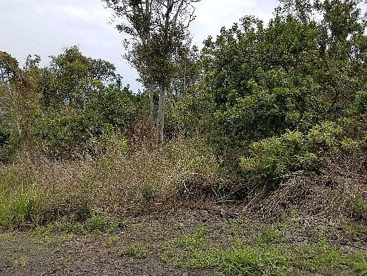 2nd image of Ohana Rd Lot 4