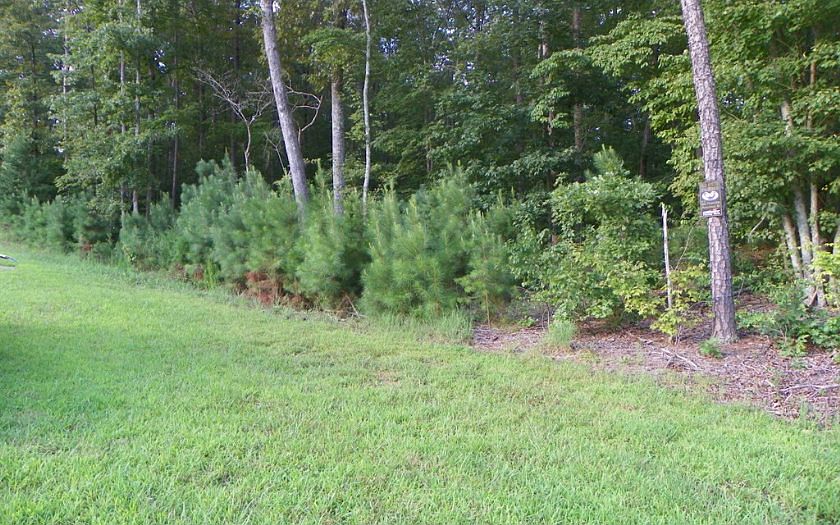 1st image of LOT 60 Old South Dr