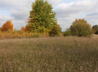 0 Reiman Rd PARCEL B, Grass Lake, MI 49240