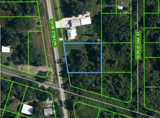 116 Nichele Blvd, Lake Placid, FL 33852
