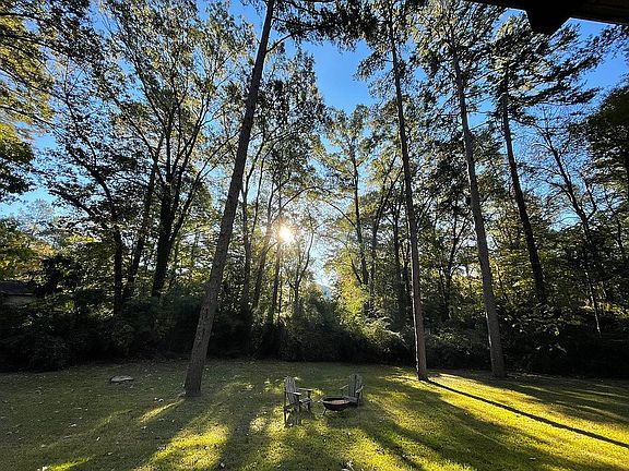 Morning light from living 