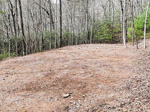 3rd image of 299 Laurel Falls Rd