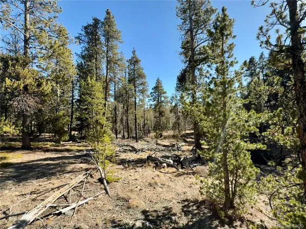 235 Willow Lane, Fairplay, CO 80440