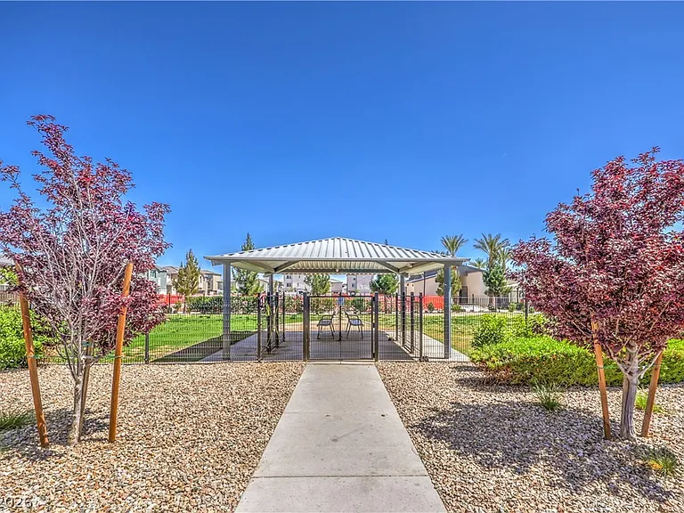 6816 Citron Mist Ct — Photo 41
