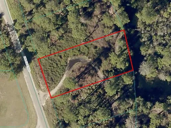 22 Malauka Cir Lot 22, Ocklawaha, FL 32179