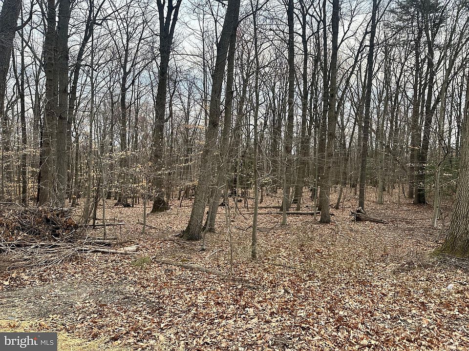 2nd image of 2507 Mountain Rd
