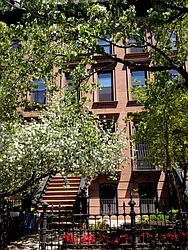 127 Prospect Place, #2
