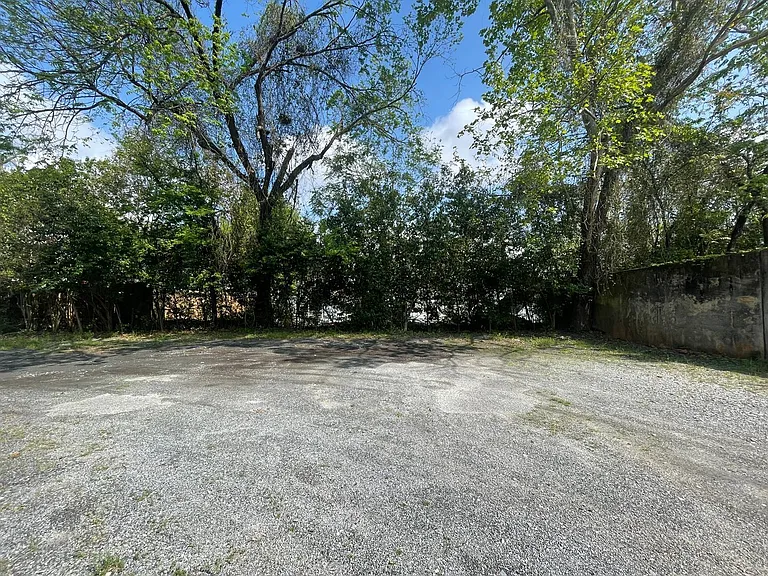 420 College St #B — Photo 6