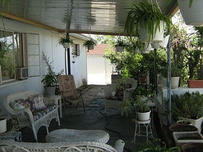 Back Patio