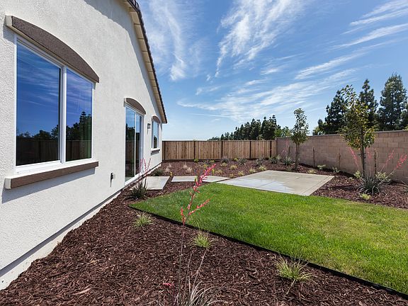 Residence 1 Gallery - backyard